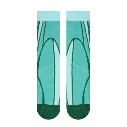 Cactus Socks  (2)